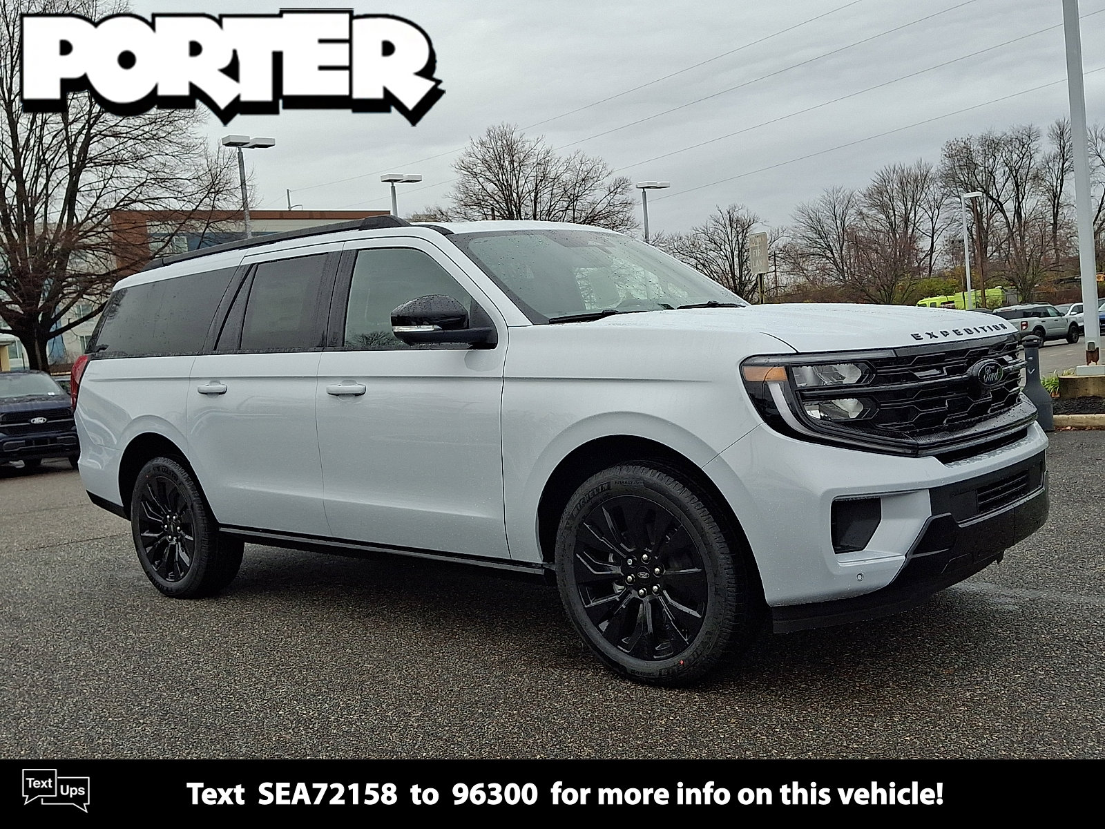 2025 Ford Expedition Platinum's photo