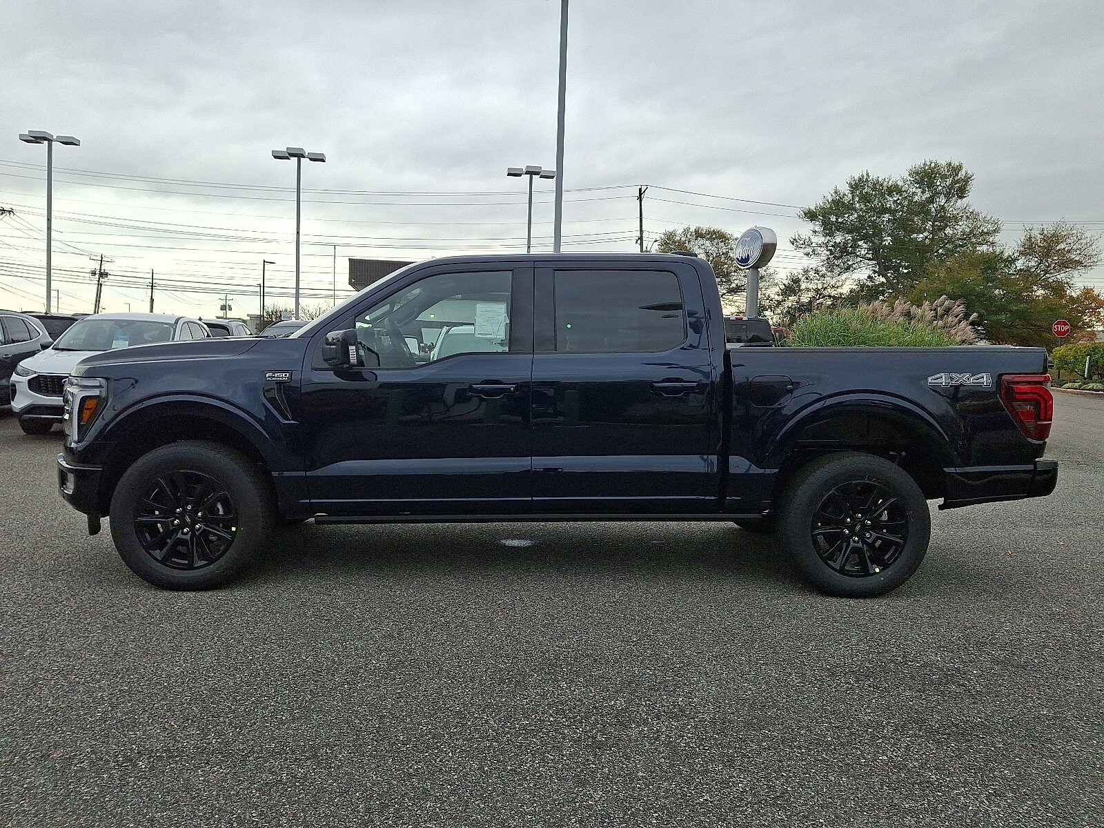 2025 Ford F-150 Platinum photo 4