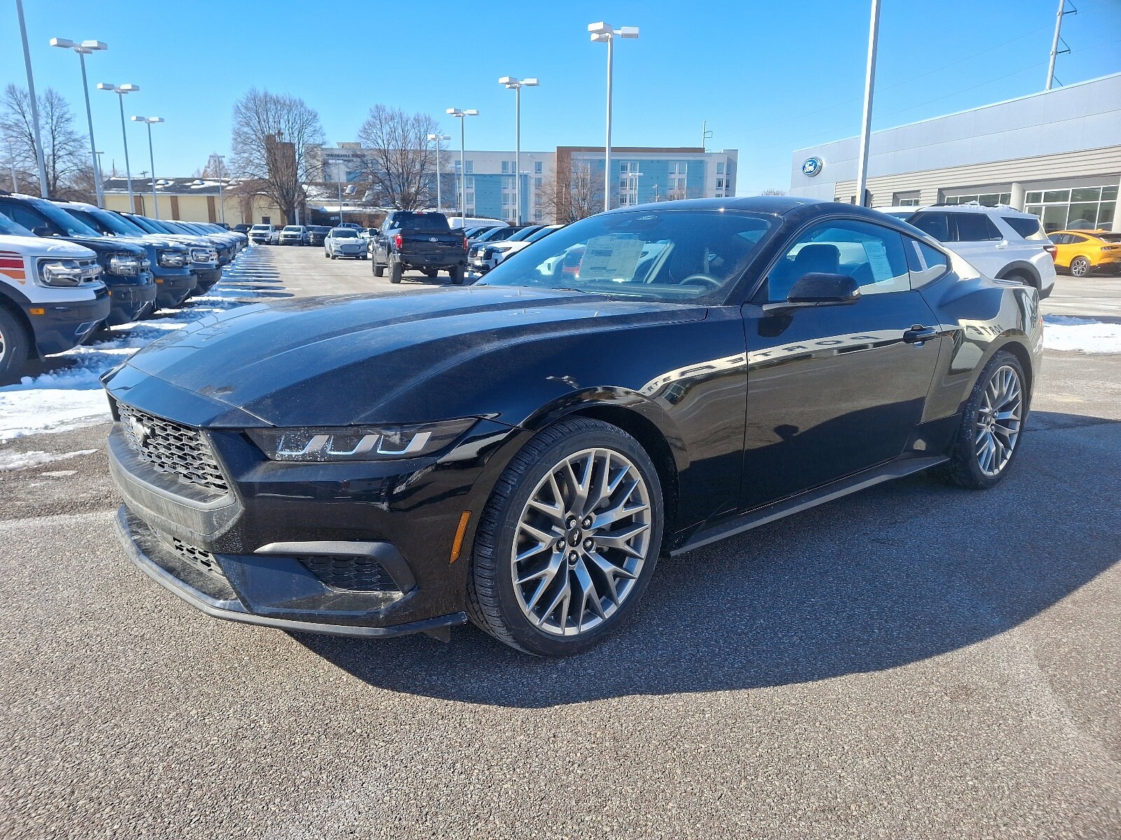 2025 Ford Mustang EcoBoost Premium photo 3