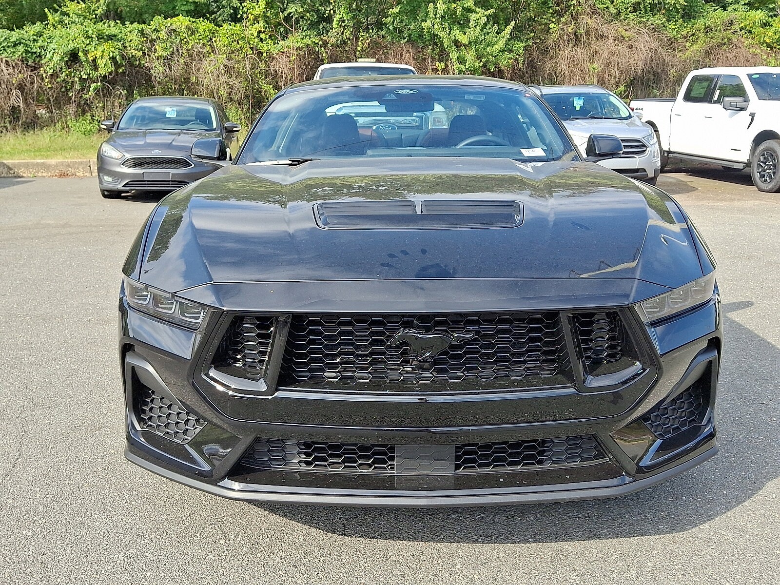 2025 Ford Mustang GT Premium photo 2