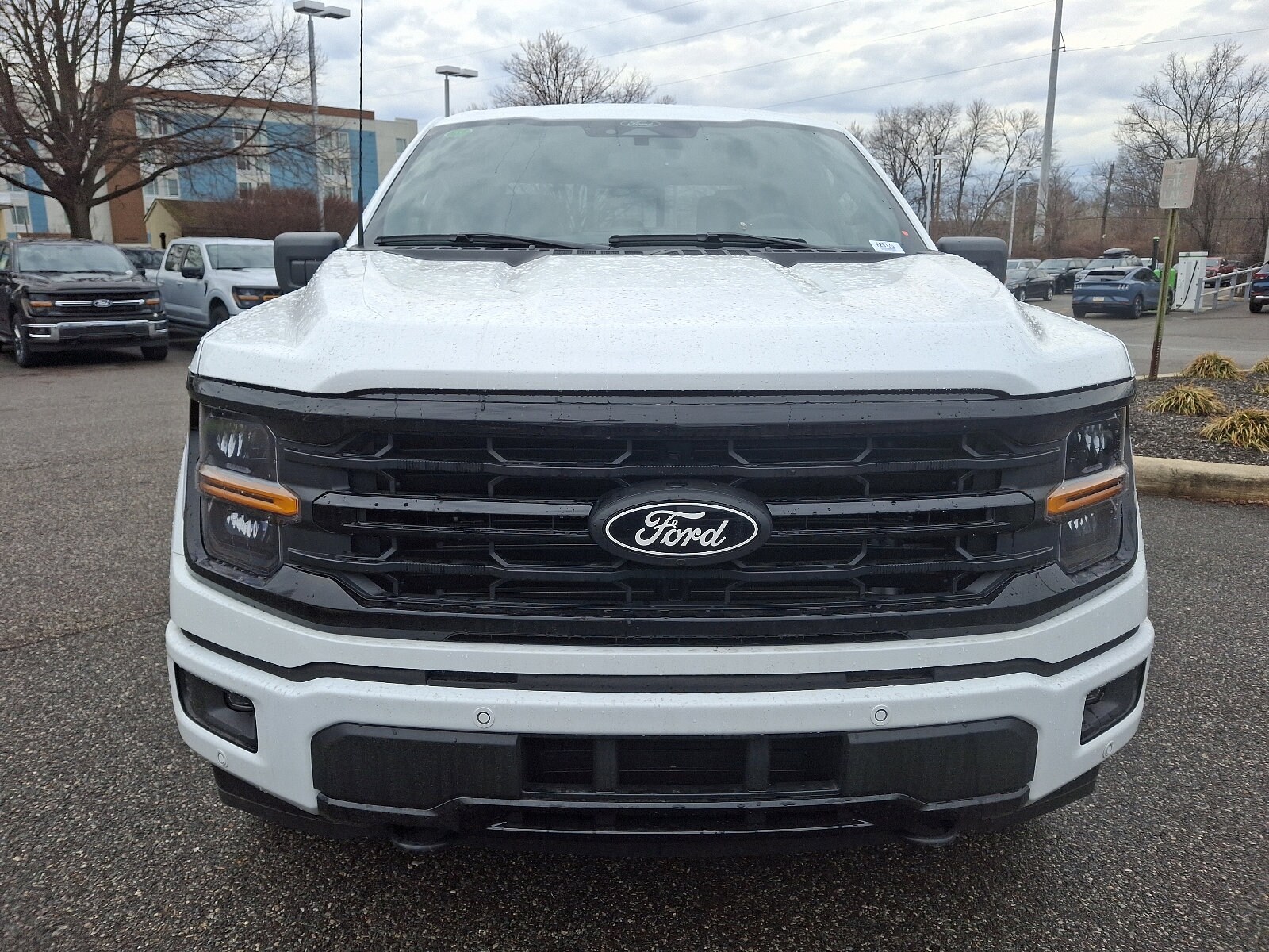 2025 Ford F-150 XLT photo 2