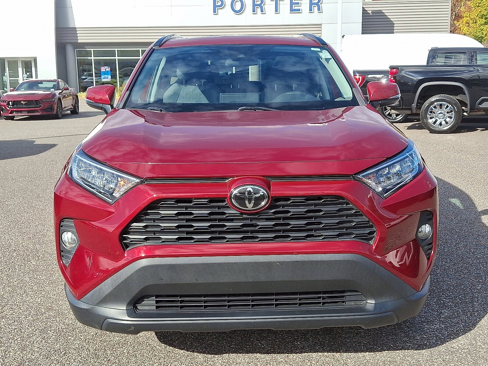 2019 Toyota RAV4 XLE photo 3