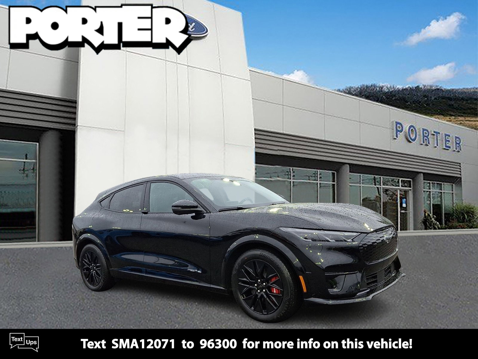 2025 Ford Mustang Mach-E Premium AWD's photo