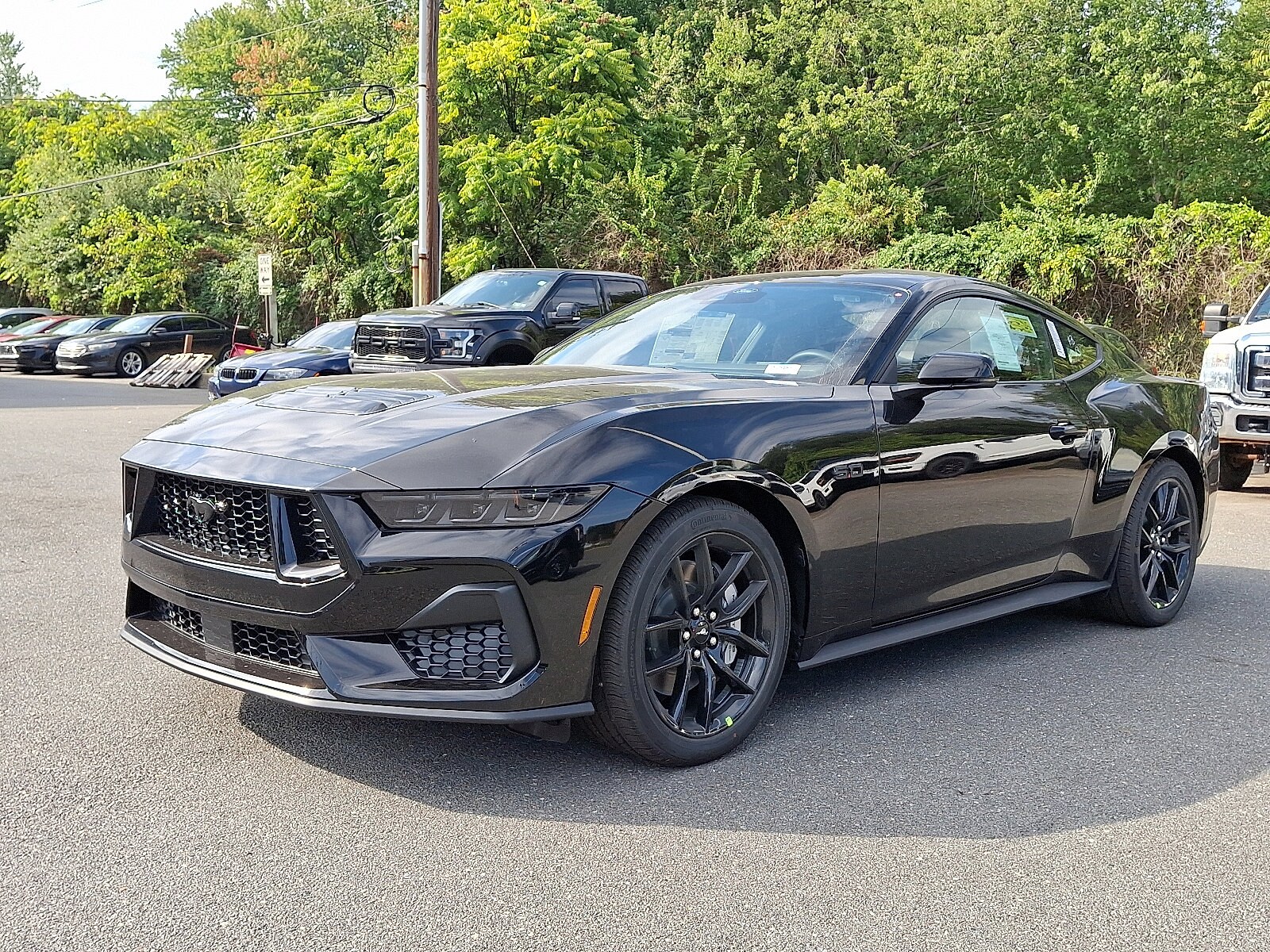 2025 Ford Mustang GT Premium photo 3