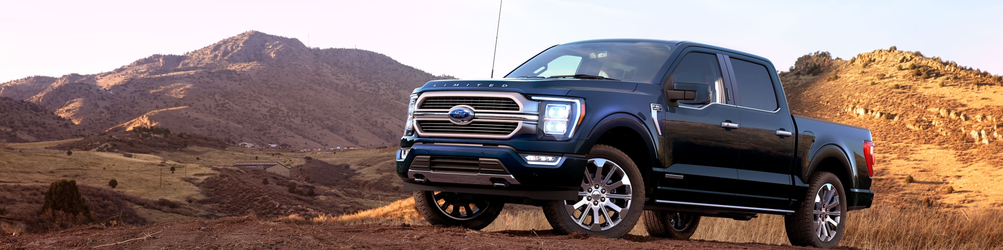 Used Ford F-150