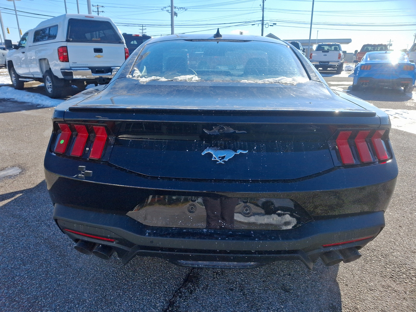 2025 Ford Mustang EcoBoost Premium Fastback - Photo 6