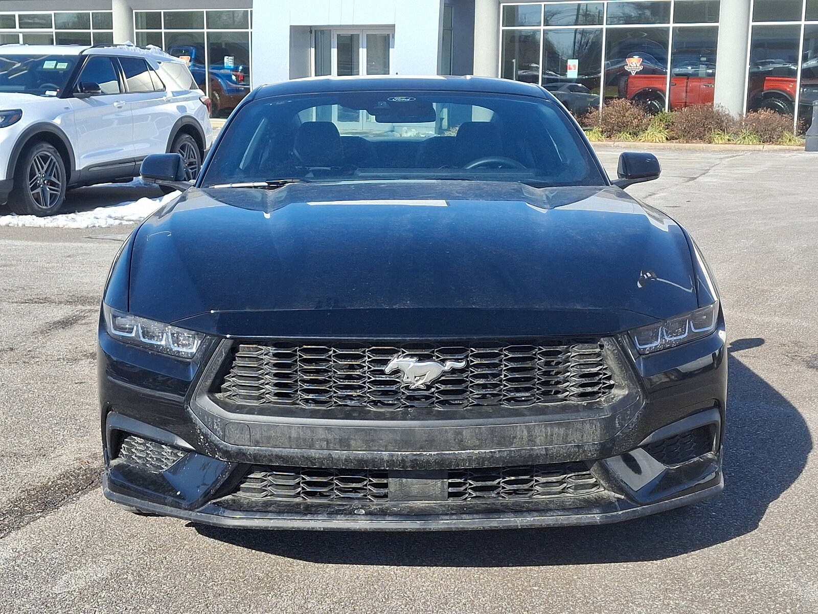 2025 Ford Mustang EcoBoost Premium photo 2