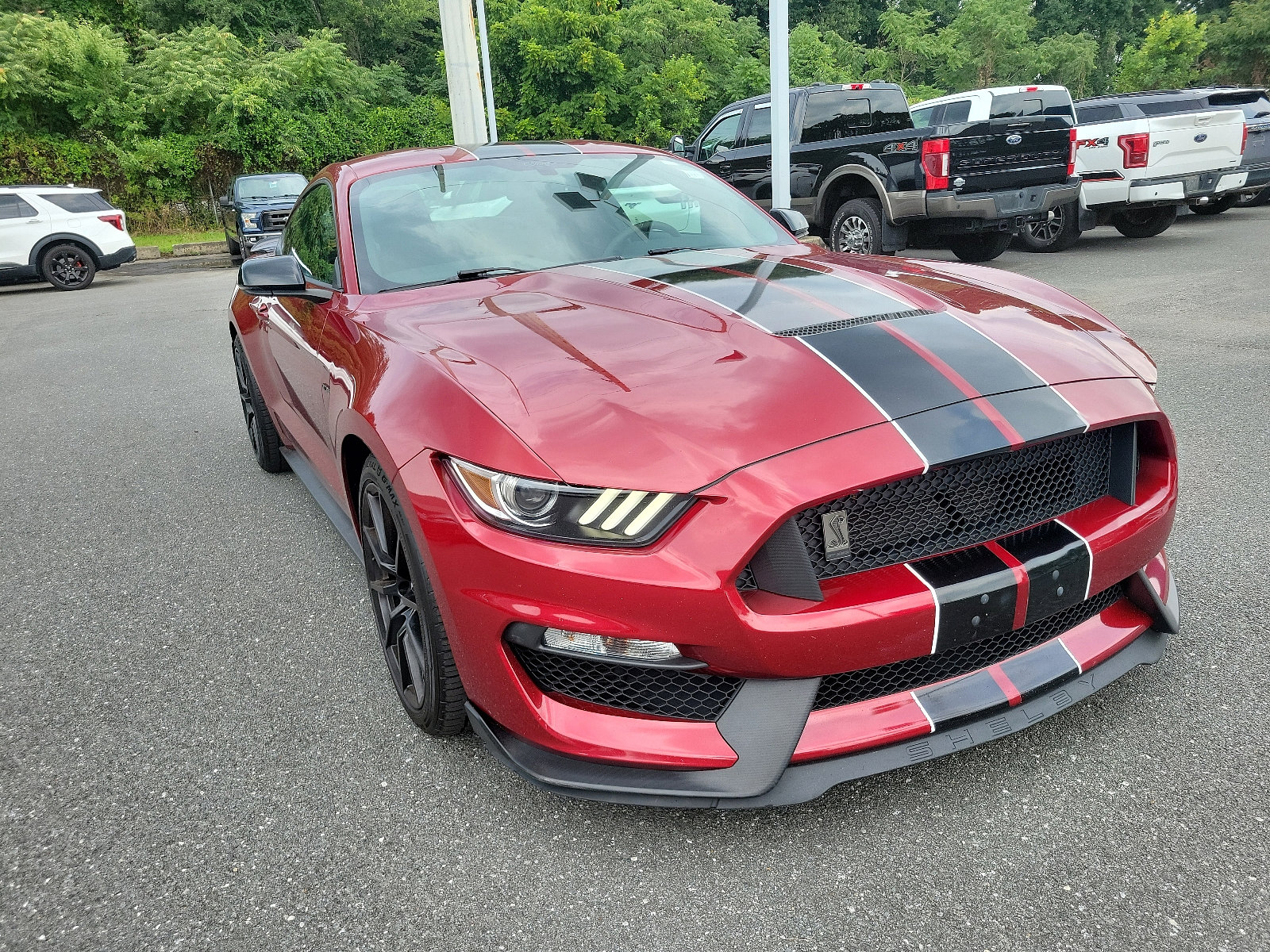 Certified 2017 Ford Mustang Shelby GT350 with VIN 1FA6P8JZ8H5525295 for sale in Newark, DE