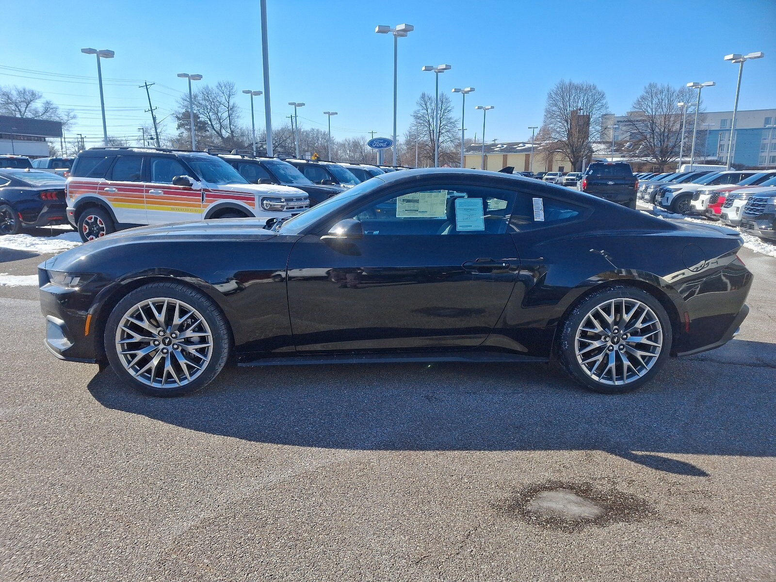 2025 Ford Mustang EcoBoost Premium photo 4