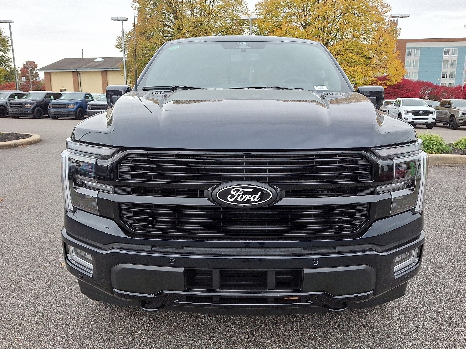 2025 Ford F-150 Platinum photo 2