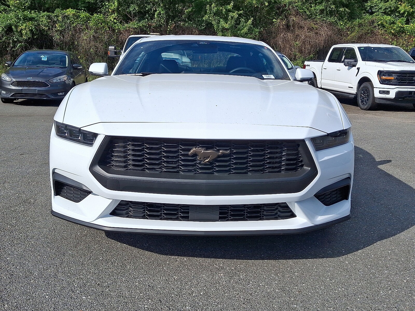 2025 Ford Mustang EcoBoost Premium photo 2