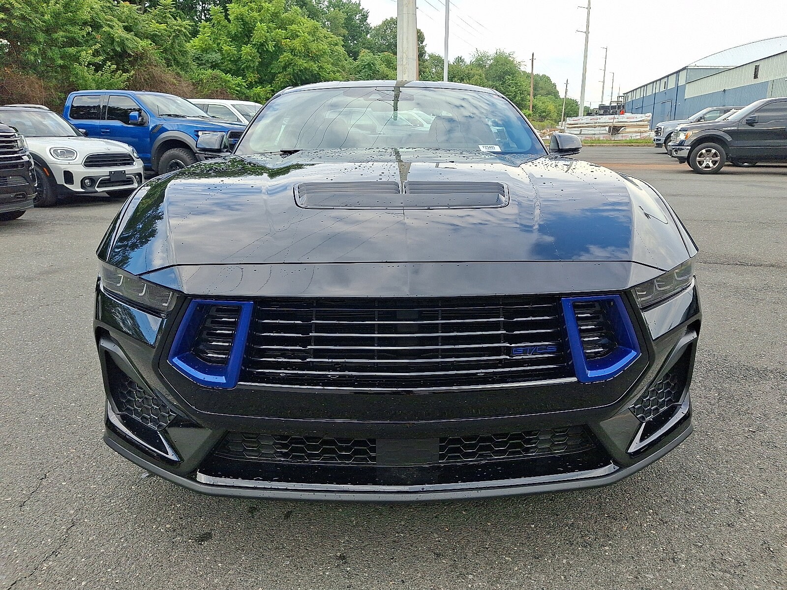 2025 Ford Mustang GT Premium photo 2