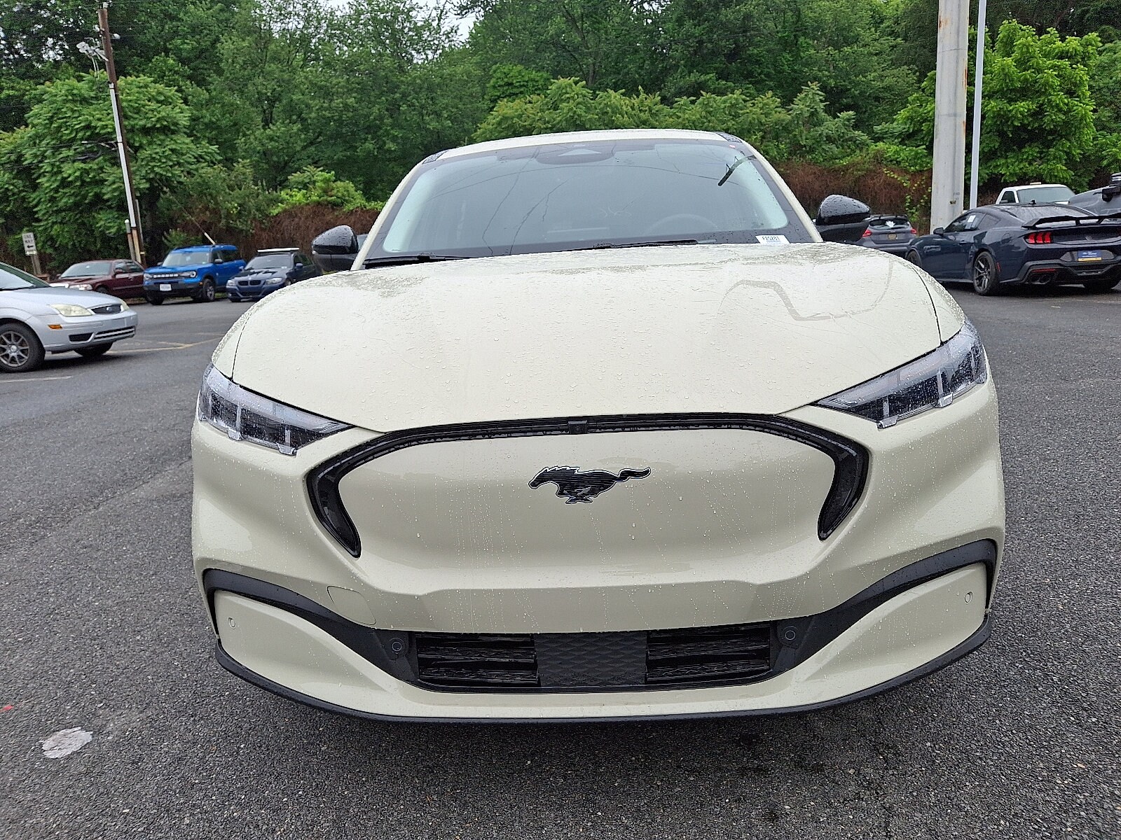2025 Ford Mustang Mach-E Premium photo 2