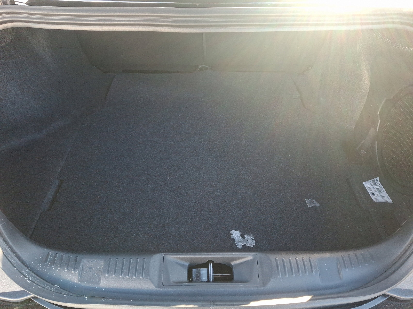 2025 Ford Mustang EcoBoost Premium Fastback - Photo 20