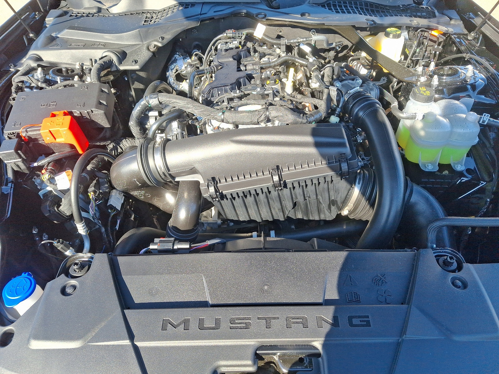 2025 Ford Mustang EcoBoost Premium Fastback - Photo 19