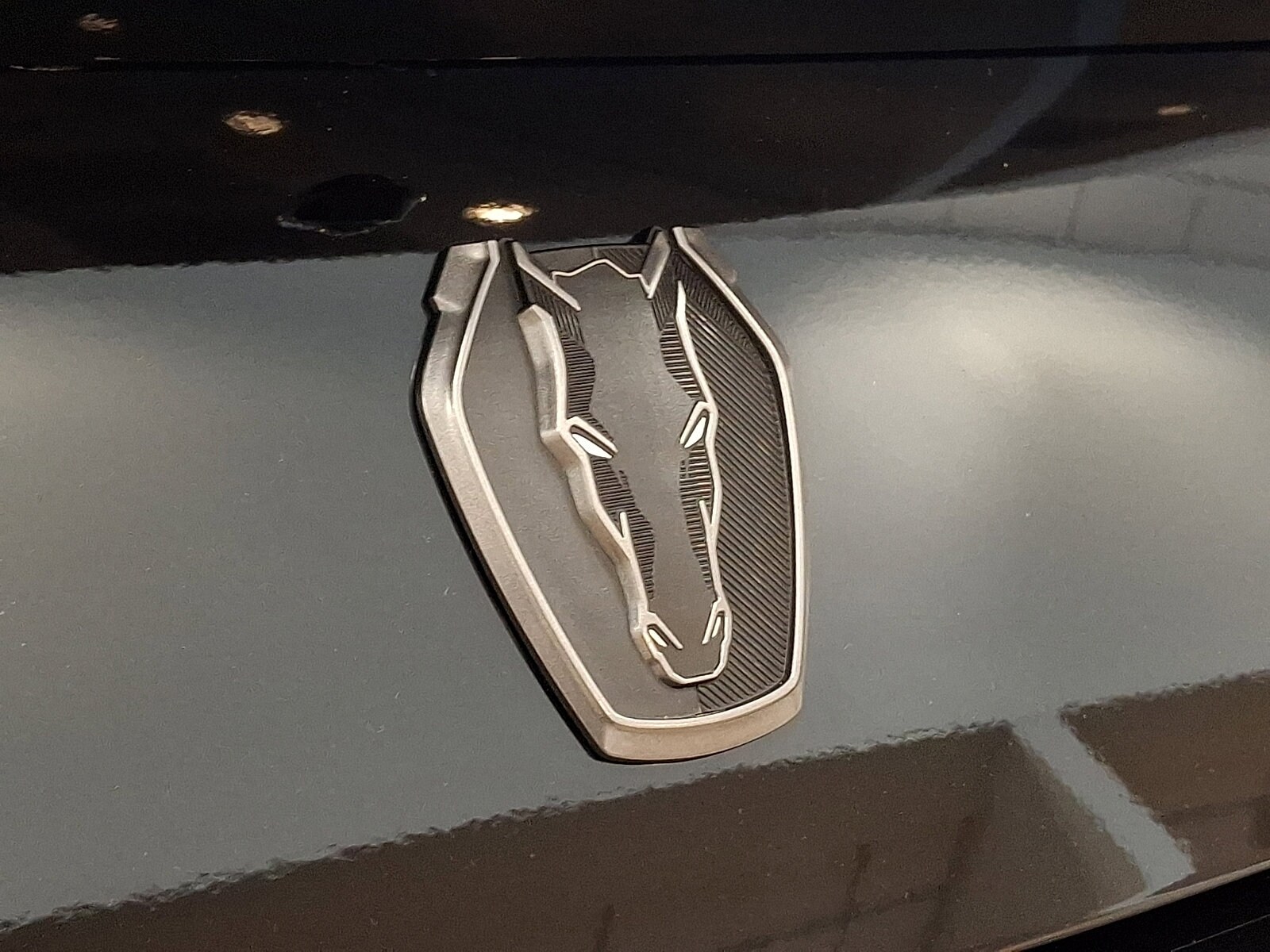 2025 Ford Mustang Dark Horse - Photo 27