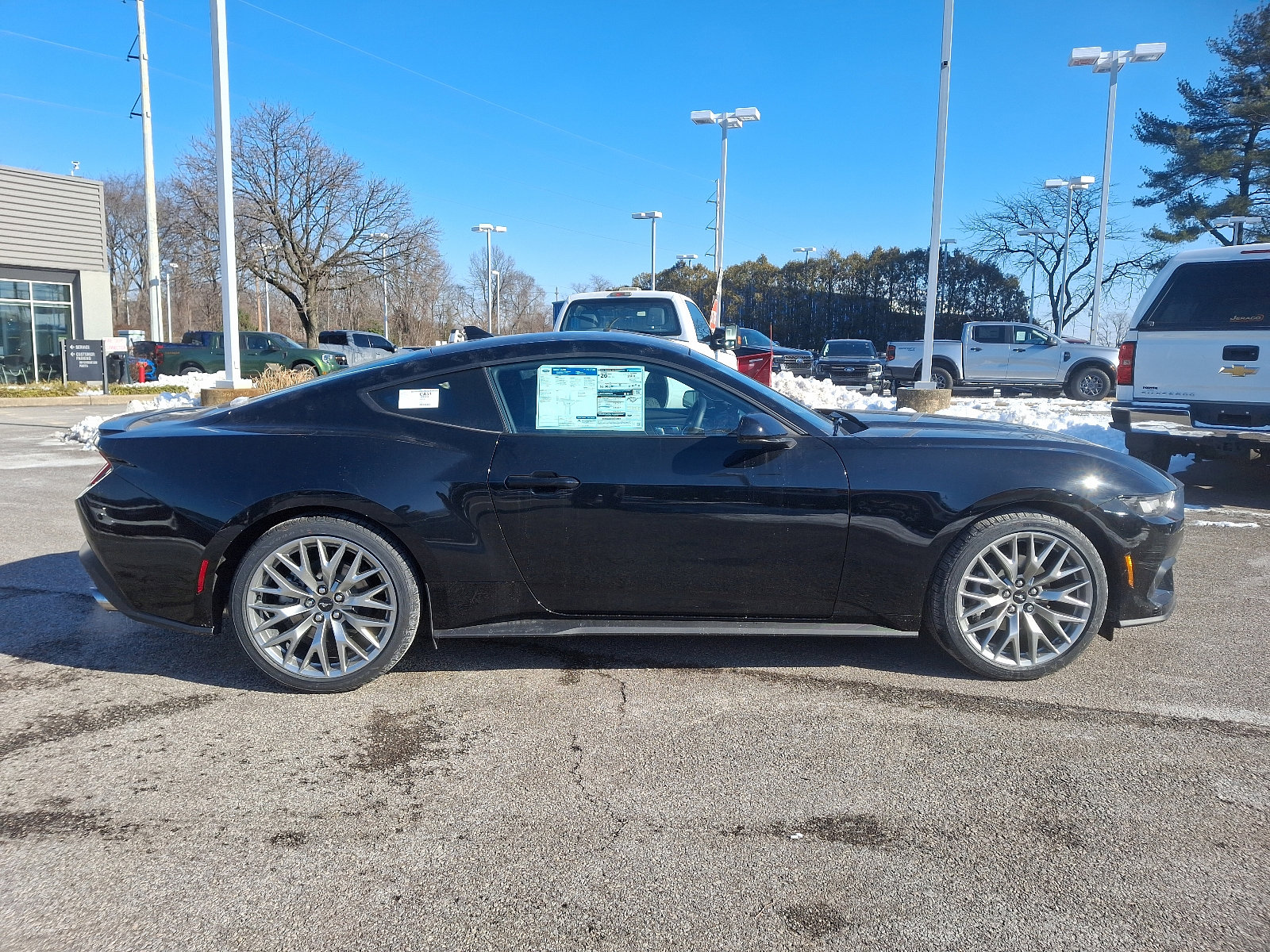 2025 Ford Mustang EcoBoost Premium Fastback - Photo 8
