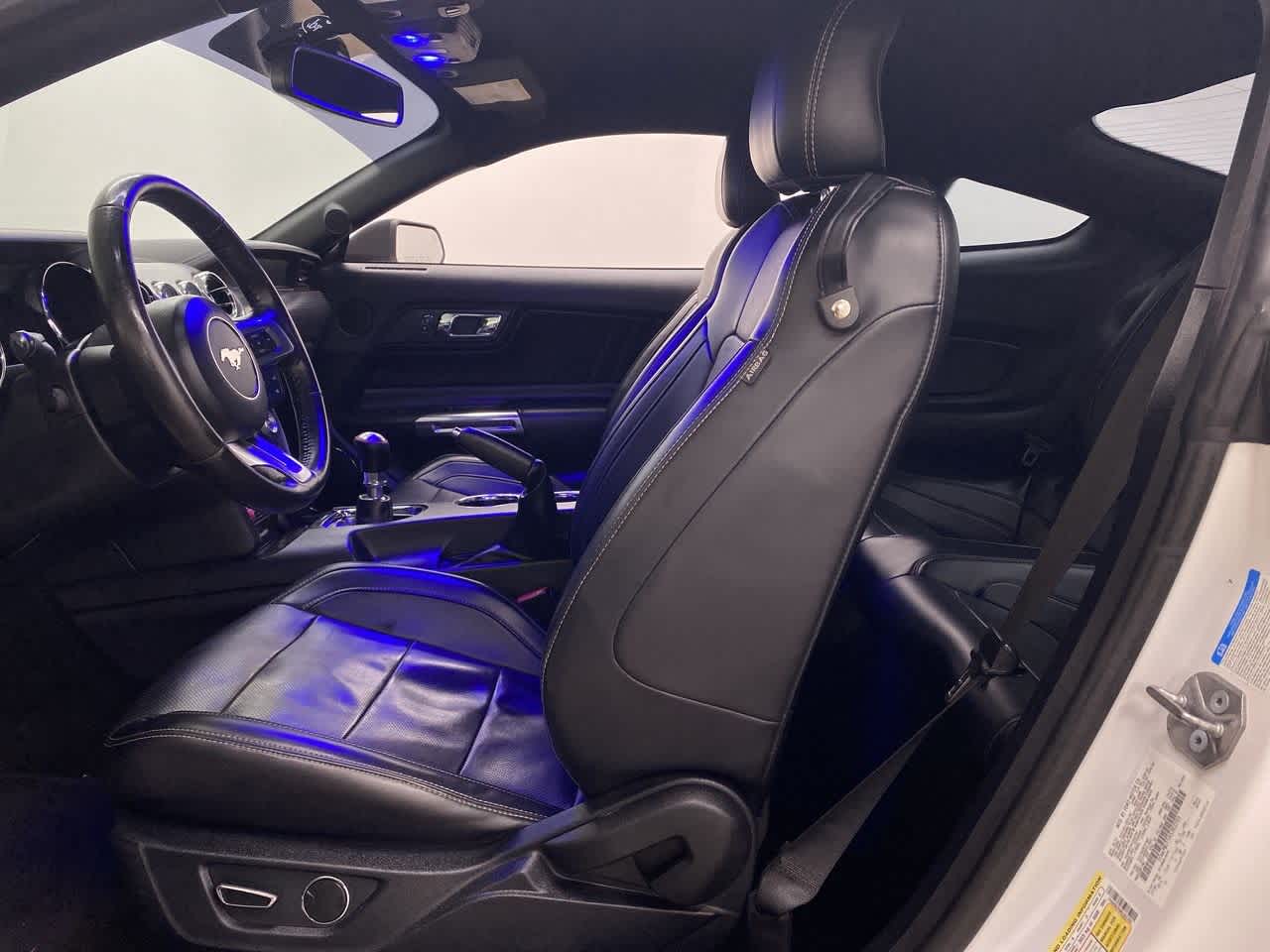 Thumbnail: 2017 Ford Mustang - 13