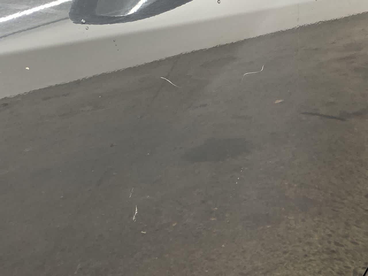 Thumbnail: 2023 Toyota Corolla - 33