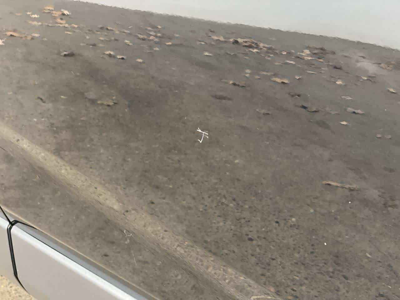 Thumbnail: 2024 Toyota RAV4 - 31