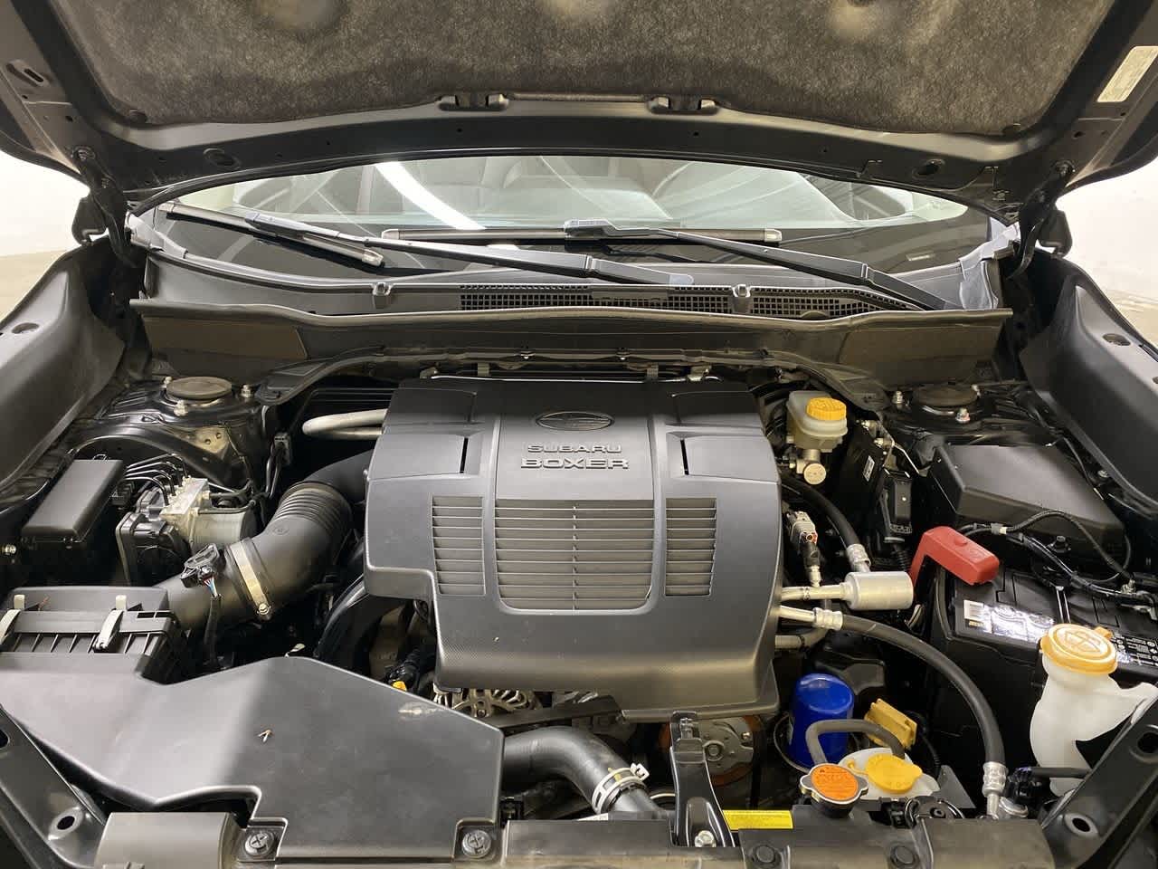 Thumbnail: 2019 Subaru Forester - 13