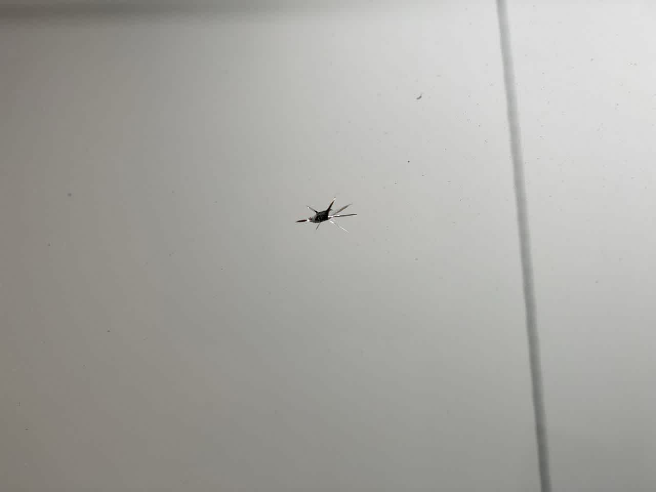 Thumbnail: 2007 Toyota Tundra - 34