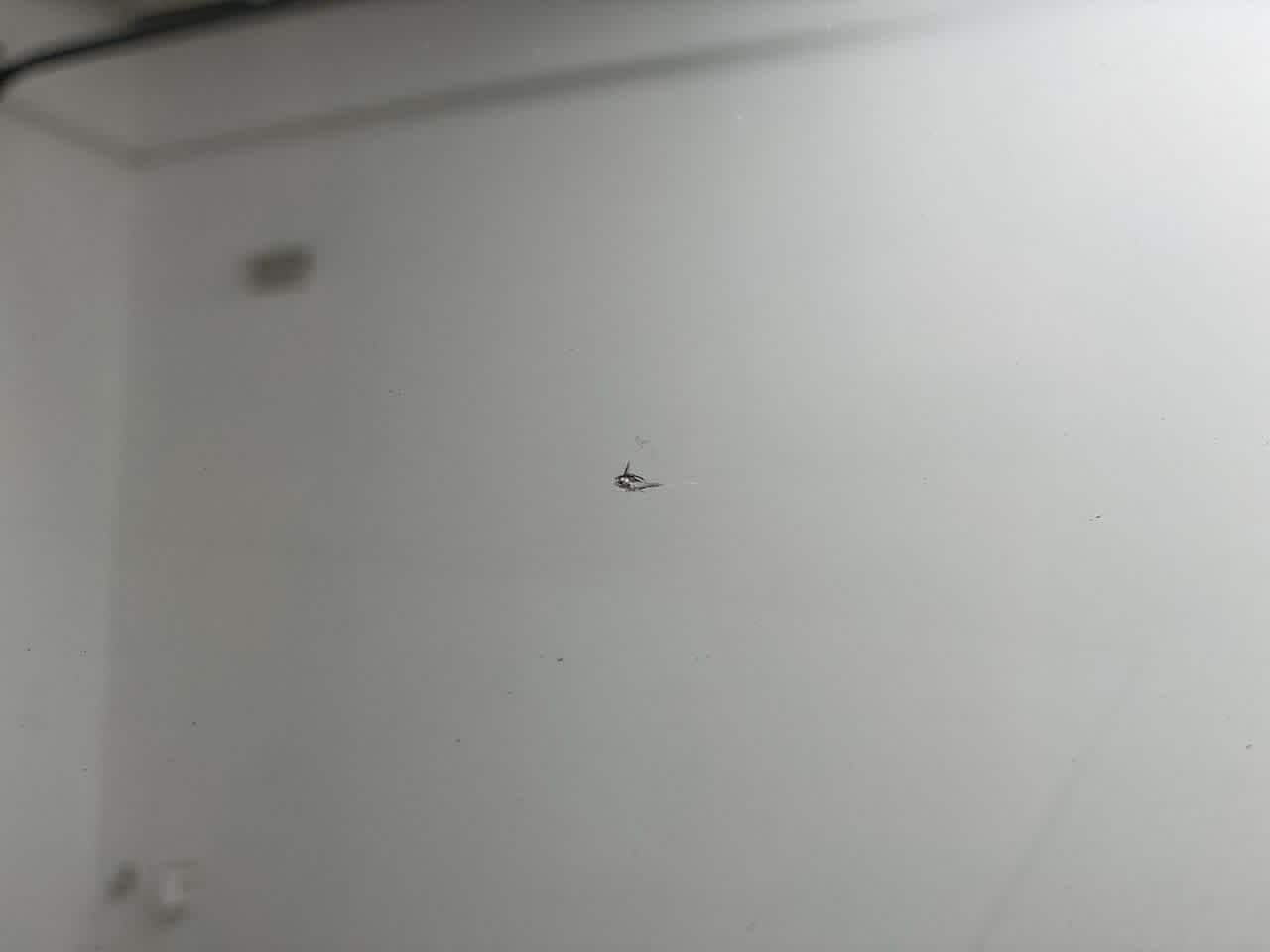 Thumbnail: 2023 Nissan Rogue - 32