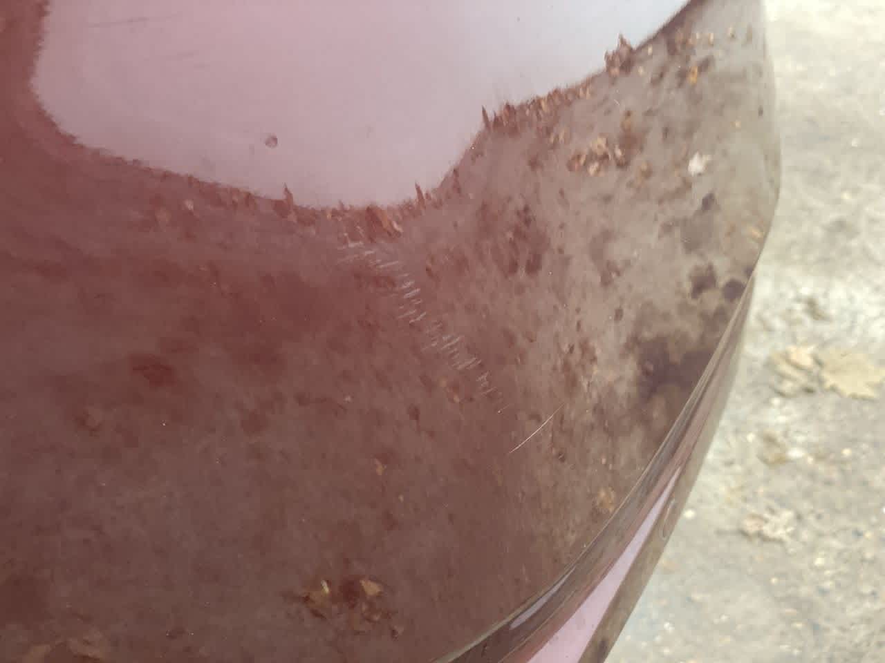 Thumbnail: 2023 Nissan Altima - 36