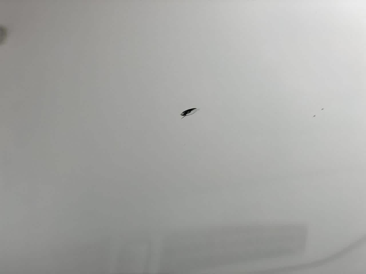 Thumbnail: 2023 GMC Sierra 1500 - 33