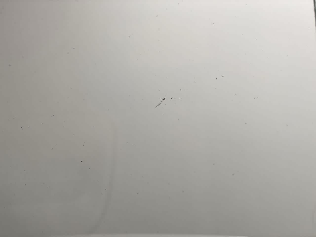 Thumbnail: 2020 GMC Sierra 1500 - 35