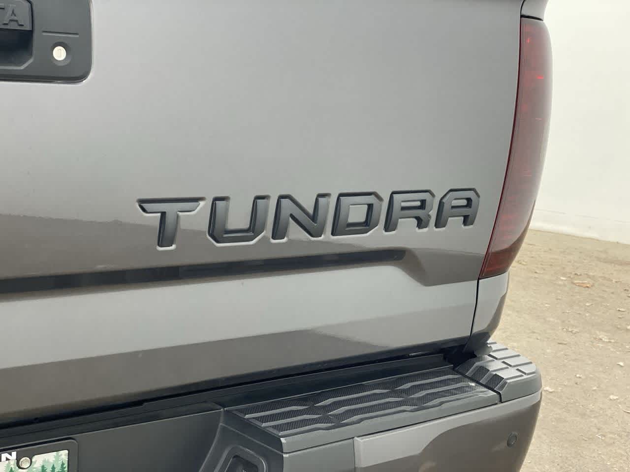 2020 Toyota Tundra Platinum 10