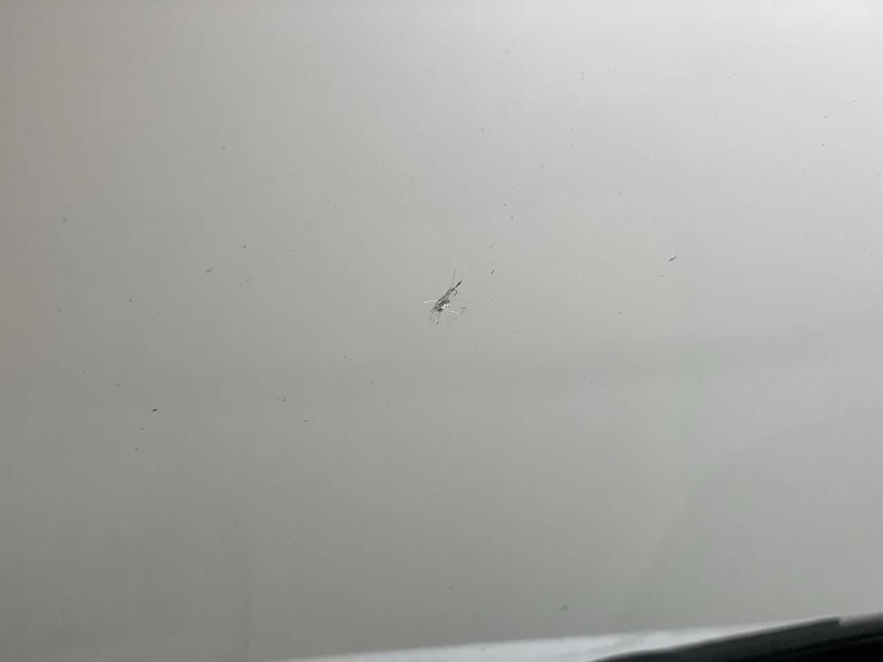 Thumbnail: 2023 GMC Terrain - 34