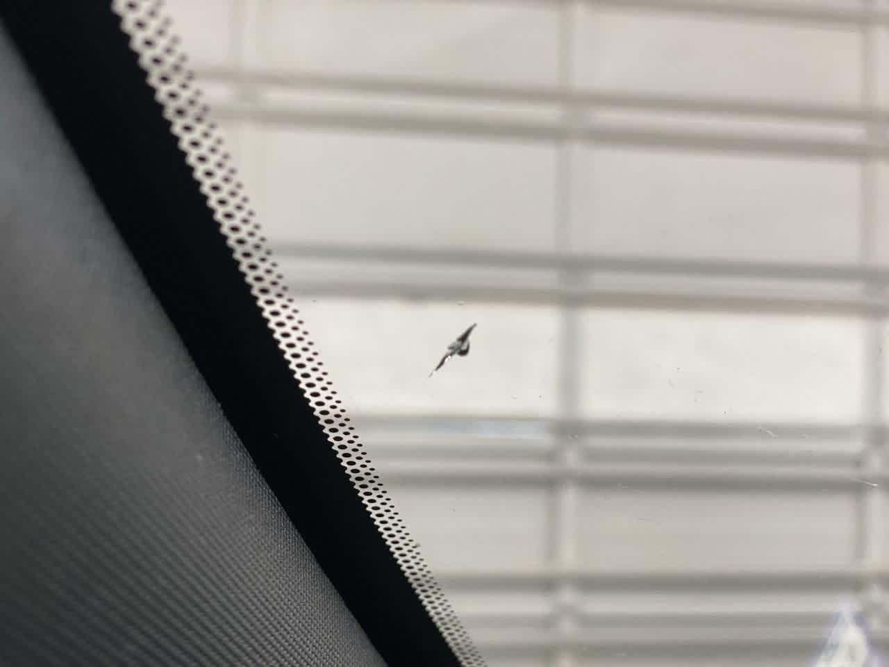 Thumbnail: 2019 Jeep Grand Cherokee - 32