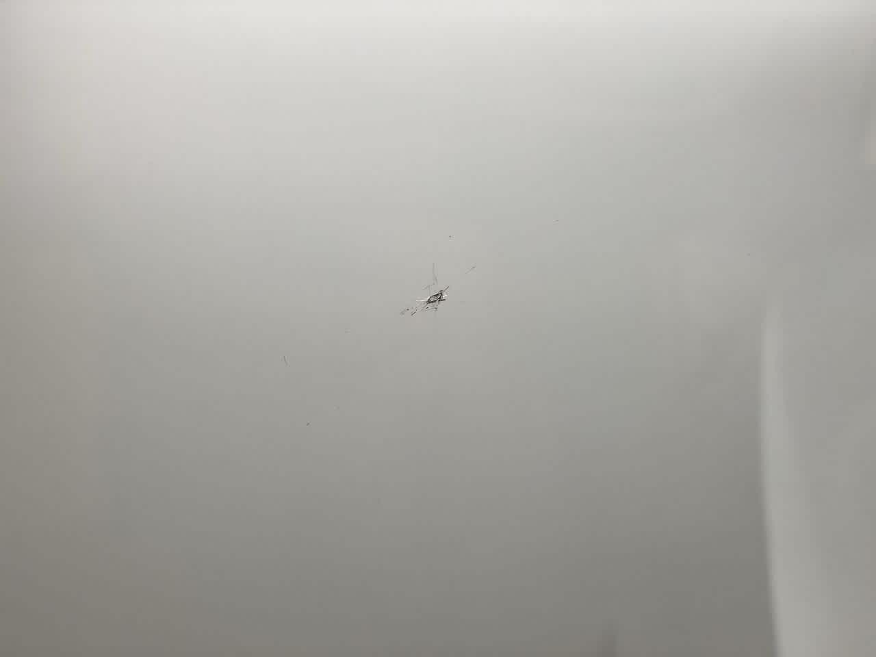 Thumbnail: 2009 Subaru Forester - 43