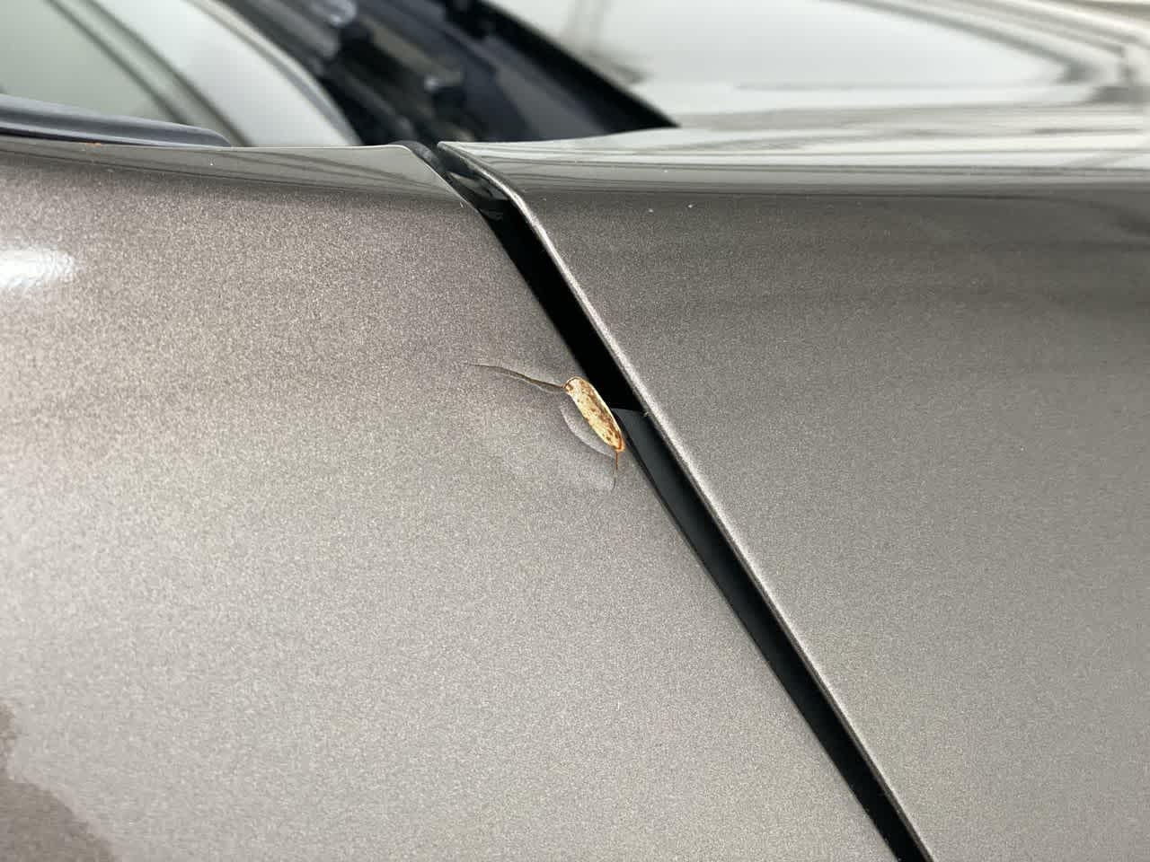 Thumbnail: 2019 Ford Edge - 34