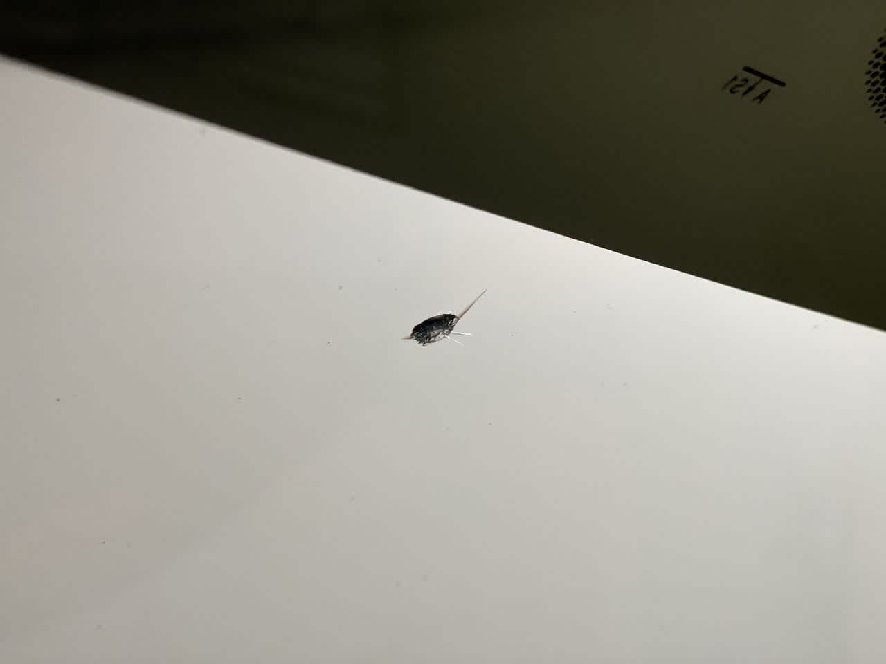 Thumbnail: 2011 Mazda Mazda3 - 36