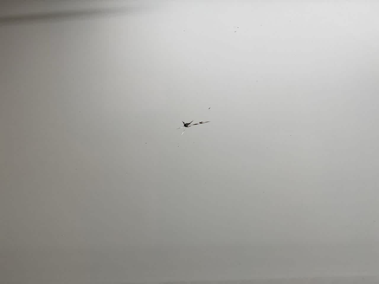 Thumbnail: 2019 Volkswagen Atlas - 43