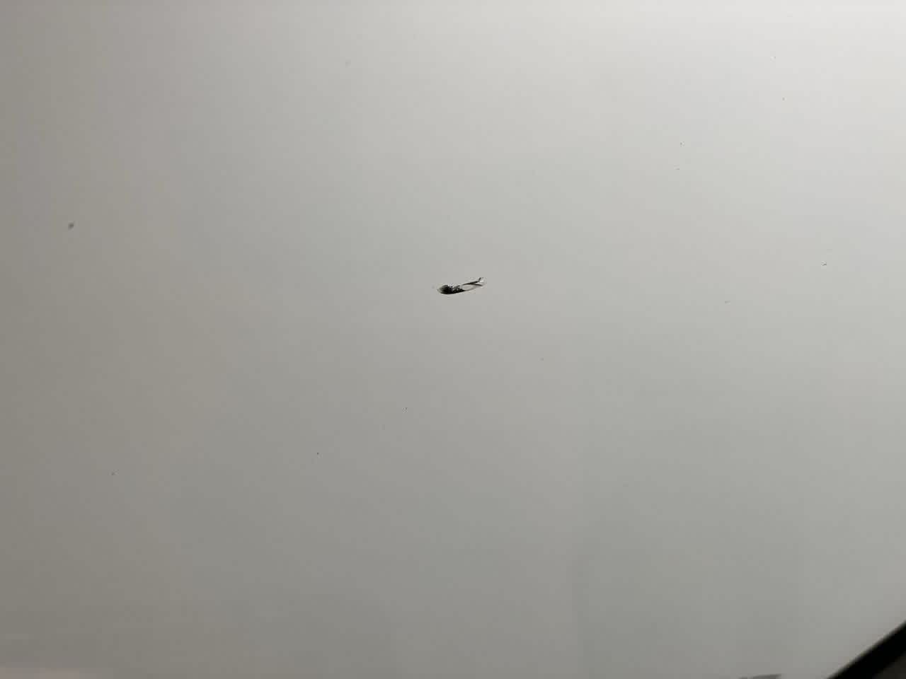 Thumbnail: 2022 Chevrolet Colorado - 32