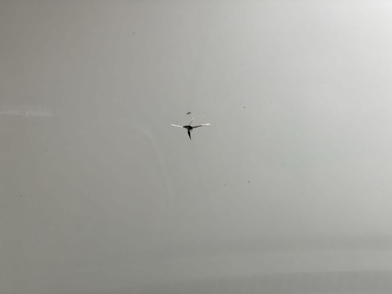 Thumbnail: 2020 RAM 2500 - 31