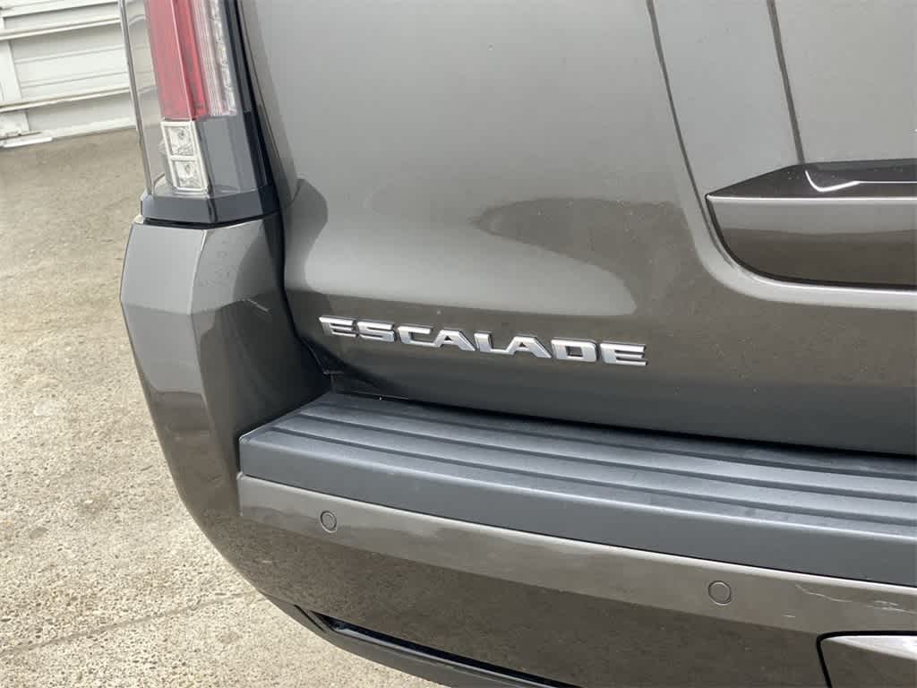 Thumbnail: 2020 Cadillac Escalade - 10