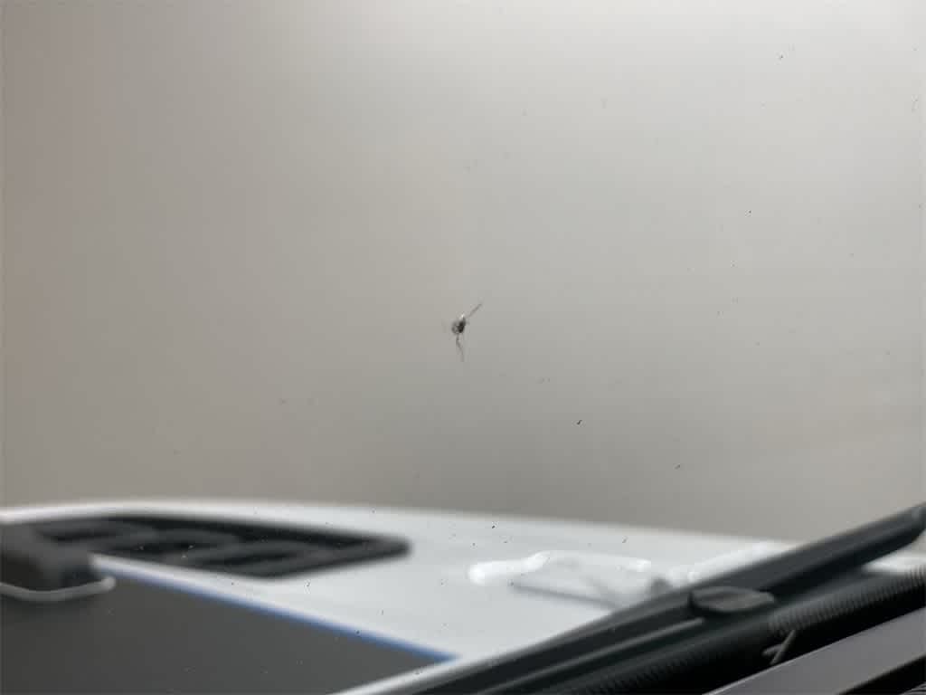 Thumbnail: 2024 Jeep Wrangler - 39