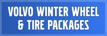 blue_button_winter_tire.png