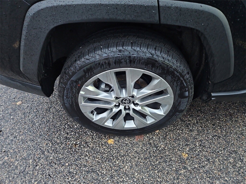 2024 Toyota RAV4 XLE Premium photo 2