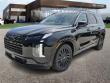 New 2025 Hyundai Palisade Calligraphy Night Edition AWD SUV