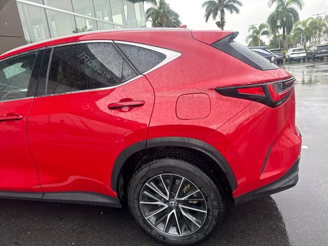 2024 Lexus NX 250 - Photo 8