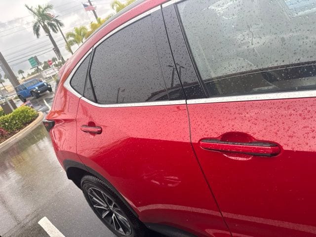 2024 Lexus NX 250 - Photo 5