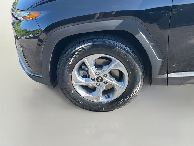 Photo 29