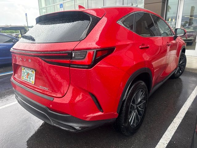 2024 Lexus NX 250 - Photo 6
