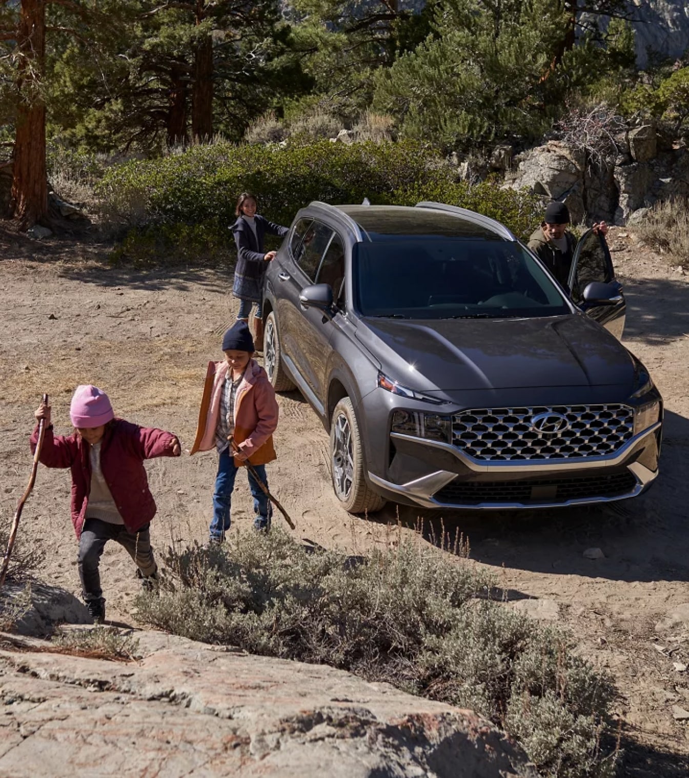 New Hyundai Vehicles