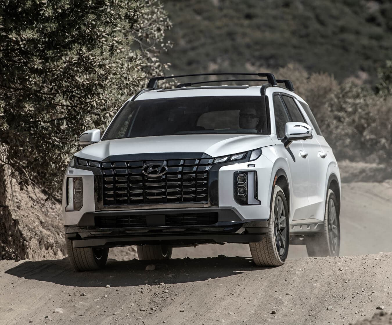 2023 Hyundai Palisade exterior shown